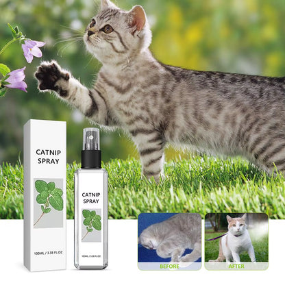 20/100Ml Herbal Cat Joy Spray Celery Pets Catnip Spray Celery Pets Herbal Cat Joy Long-Lasting & Effective Gifts for Cat